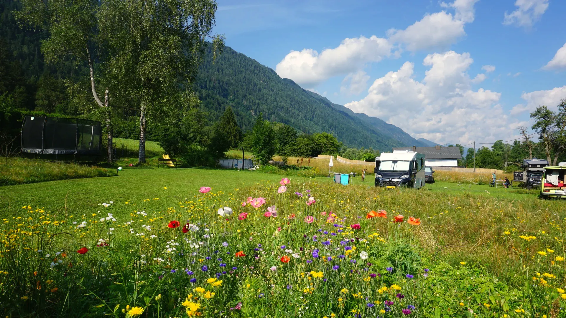 Blühende Blumenwiese am Camperplatz, dahinter Wohnmobile, Trampolin und die Gailtaler Berge