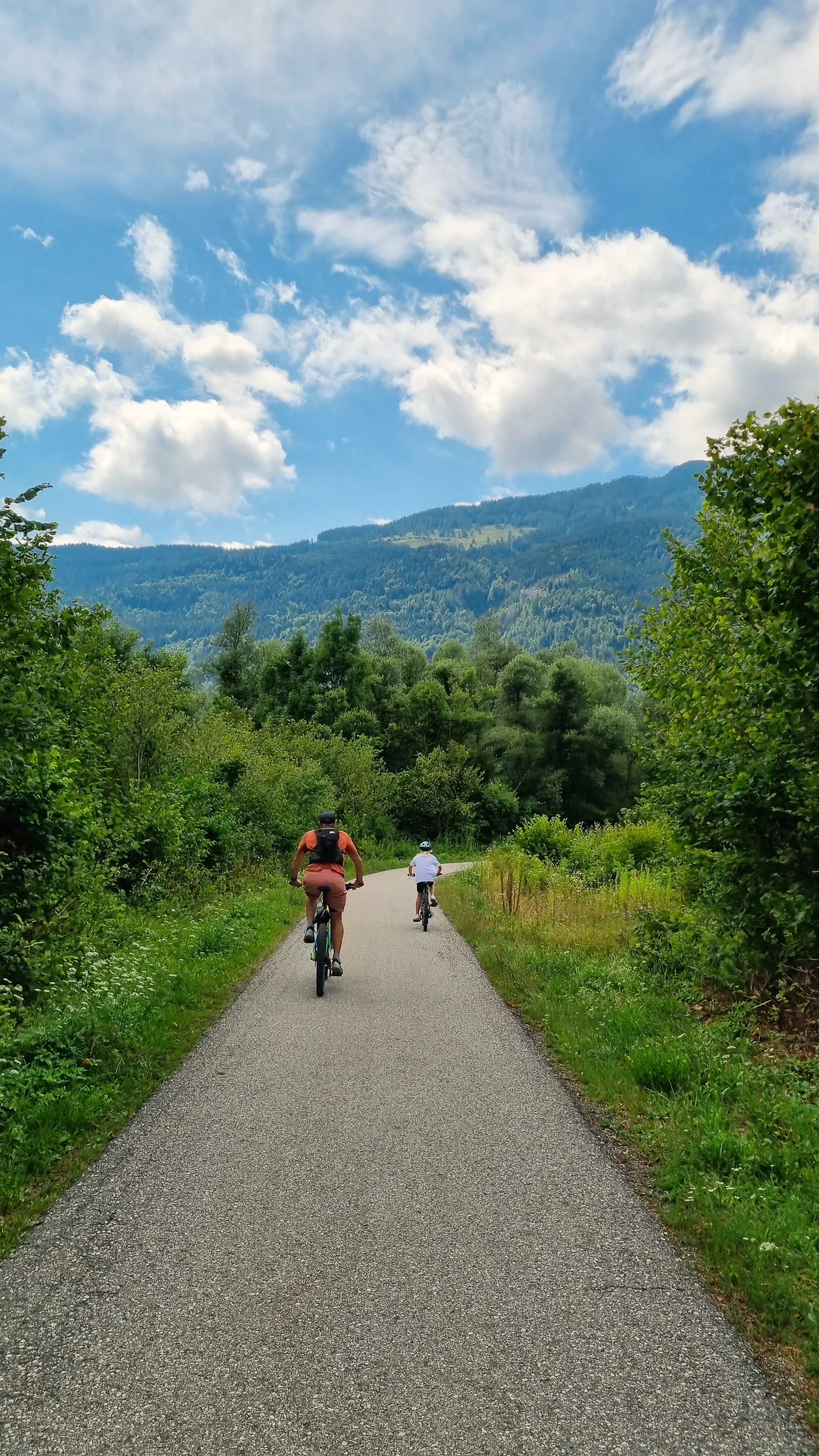 Zwei Radfahrer auf einem asphaltierten Radweg durch den Wald